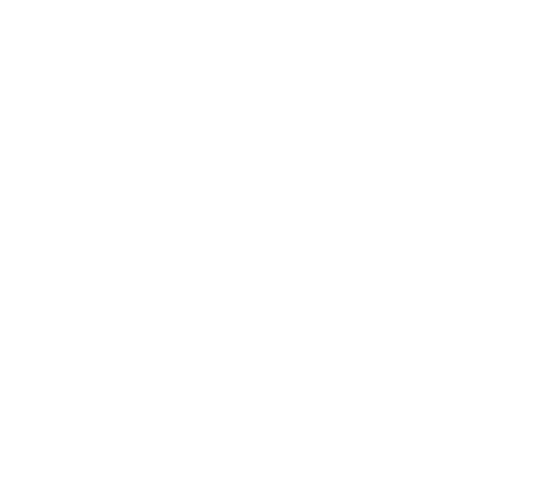 CleverCrow